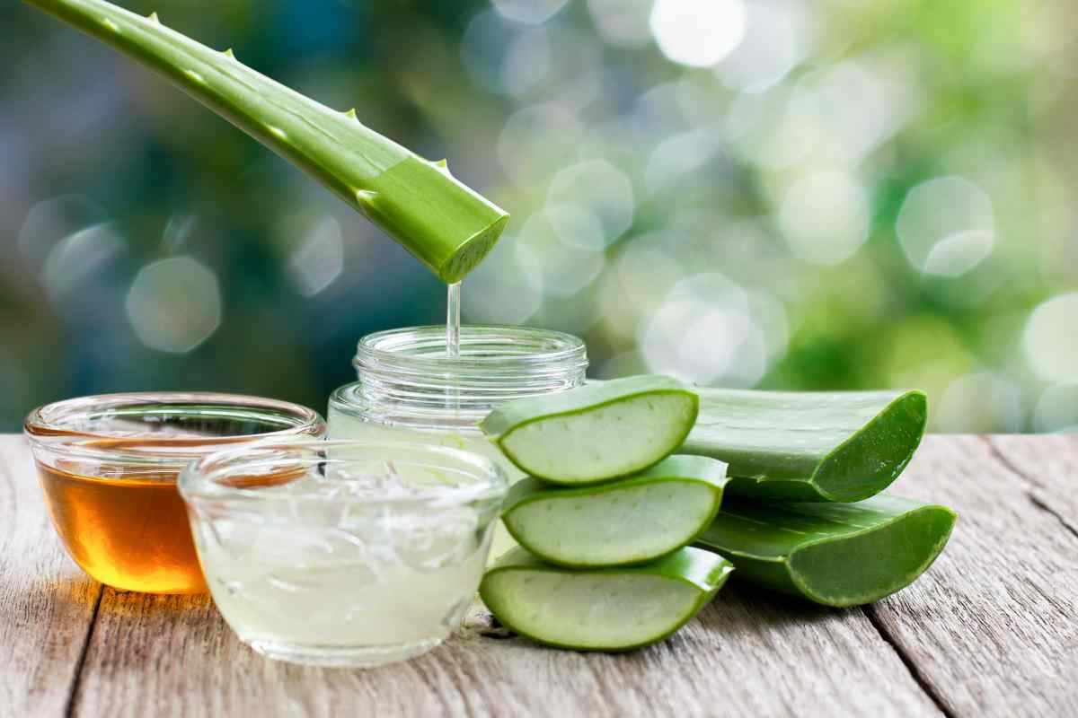 Gel aloe vera 