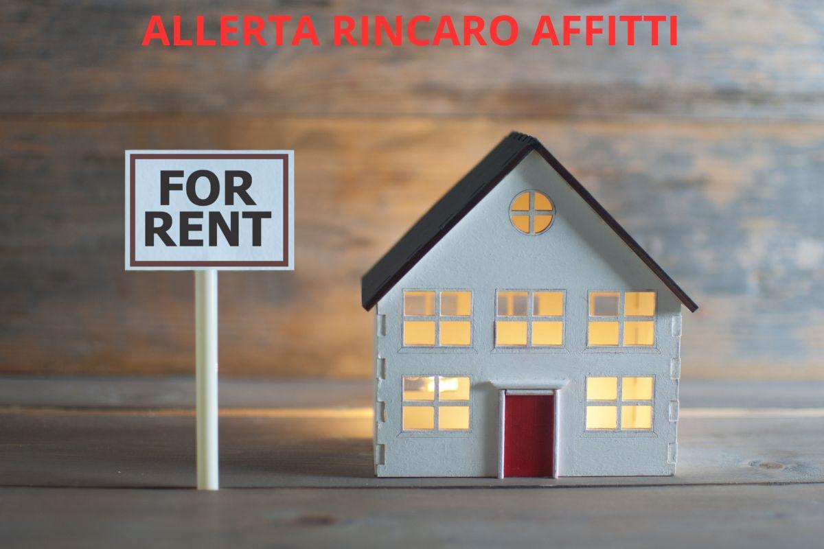 casa affitto